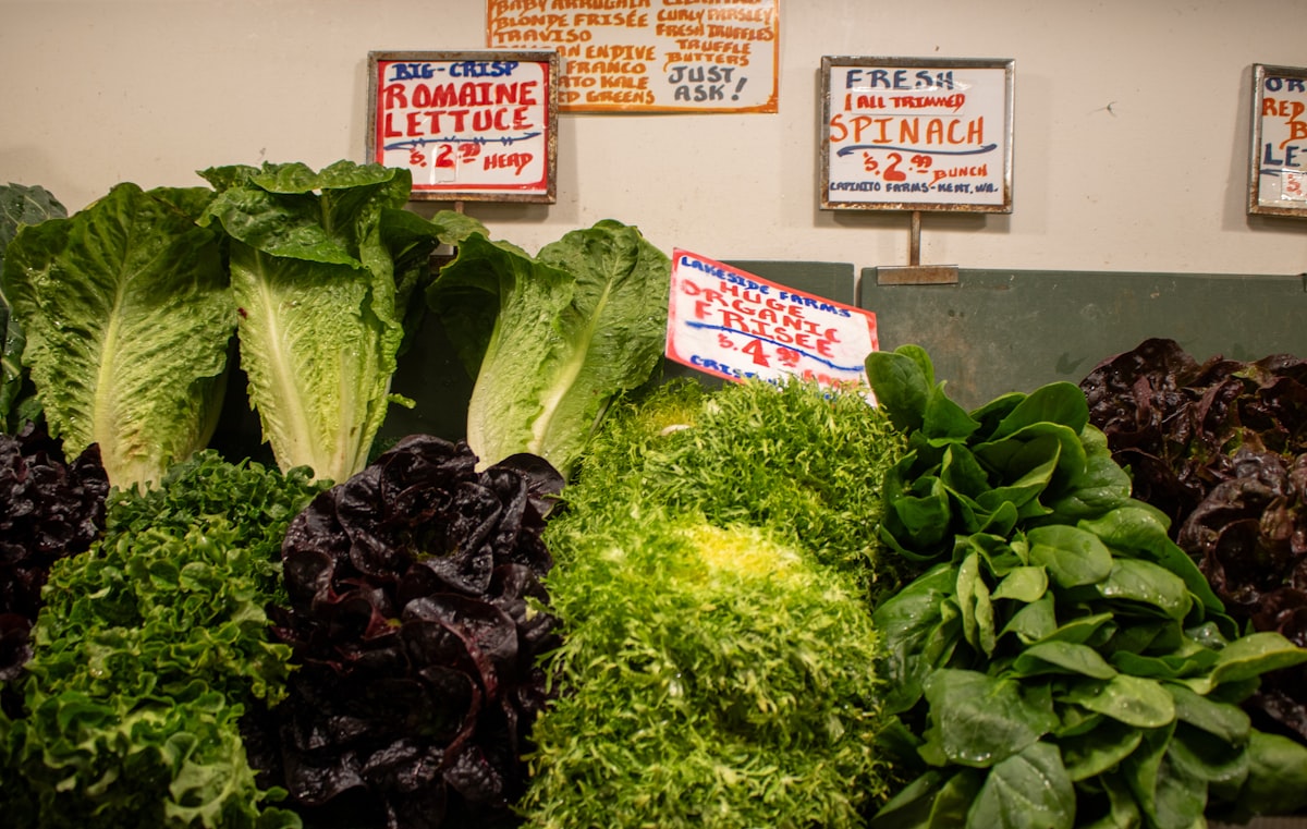 Fresh leafy green vegetables and salad preparation